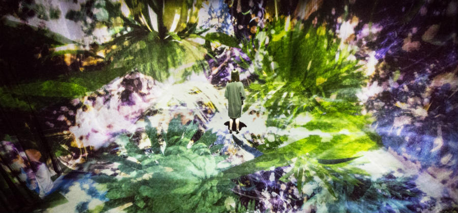 Amos Rex’s first exhibition showcases digital art by a Japanese group of artists called teamLab. They are known for their immersive digital installations, where colors play an important role.