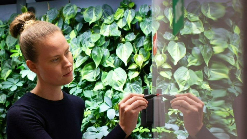 Picture-1-Etti-Seppa-main-951x535