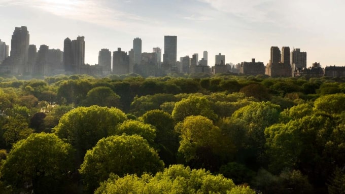 img_kone-corporate-carbon-compensation_680x383